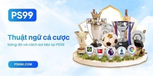 Thuật ngữ cá cược bóng đá và cách soi kèo tại PS99